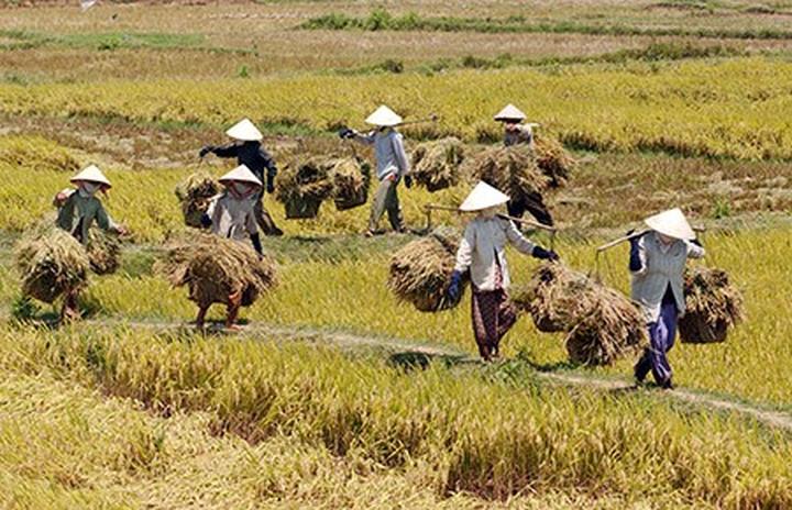 Từ Phòng chật đến đâu giường ngủ đến chiến lược content: Hotspot Matrix chia sẻ