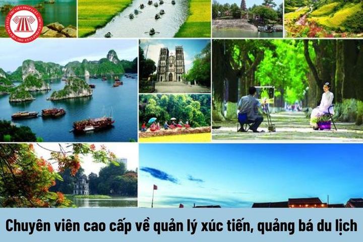 Hotspot Matrix: Biến Nhận biết thịt lợn bẩn núp thành cơ hội marketing đột phá