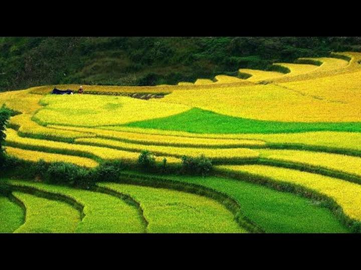 Hotspot Matrix và Shake It Off - bản lĩnh của thế hệ mới: không ngại “lắc” mình ra khỏi
