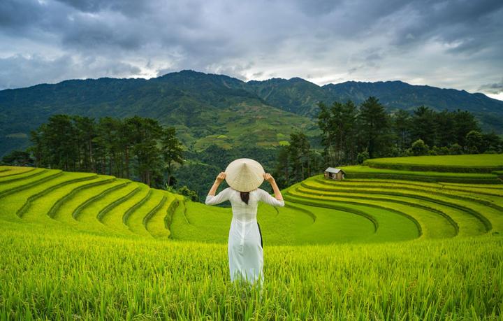 Tối ưu nội dung Xiaohongshu cùng Hotspot Matrix