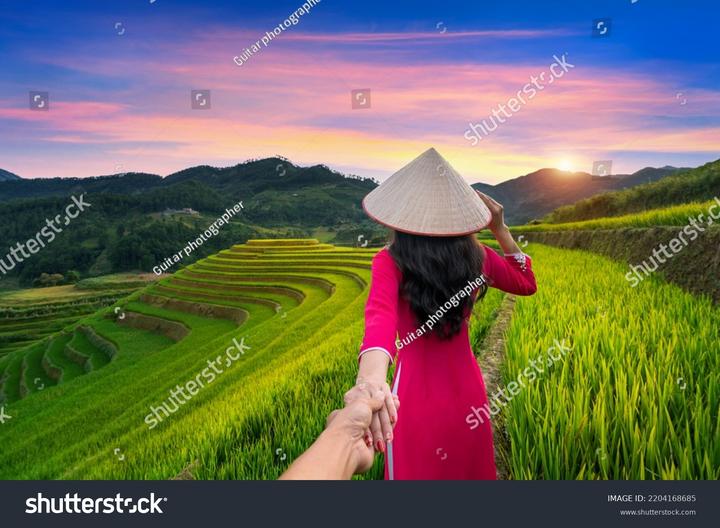 Học tiếng Anh và tìm thấy tình yêu: Câu chuyện của chị An và anh David
