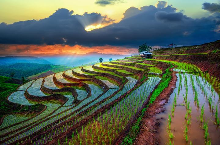 Thương mại hóa nội dung: Chìa khóa vàng trong kỷ nguyên video ngắn