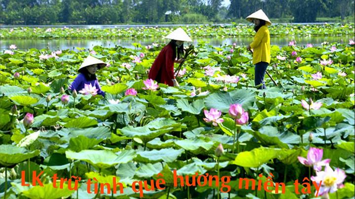 Loài cá kỳ lạ nhất châu Phi: - Cảm hứng video marketing từ Hotspot Matrix
