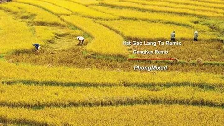 Hotspot Matrix và Cá Phổi Tây Phi: Sự Hợp Tác Để Bảo Vệ