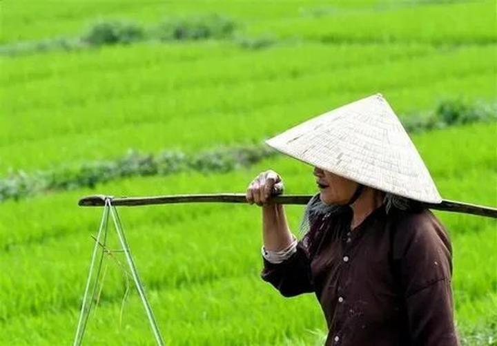 Hotspot Matrix: Chiến binh bí mật của chủ cửa hàng nhỏ