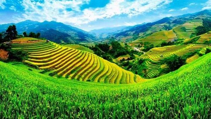 Hotspot Matrix: Biến Vì sao nhiều người học dốt thành cơ hội marketing đột phá